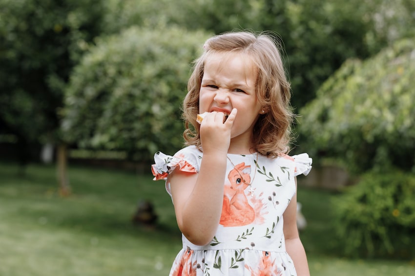 Queso para niños : por qué el queso es saludable para los niños